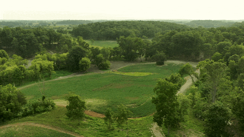 First GIF