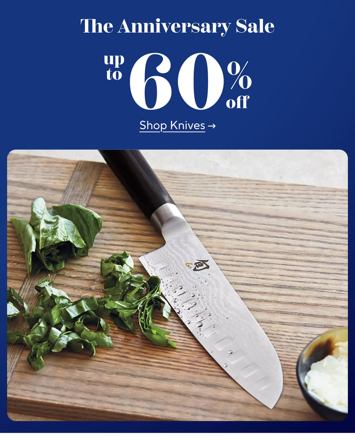 The Anniversary Sale Shop Knives