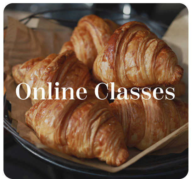 Online Classes