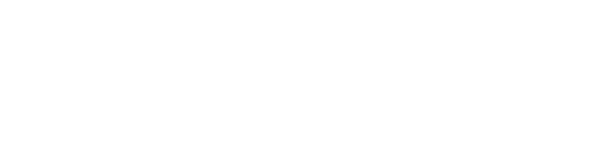 Trak Racer