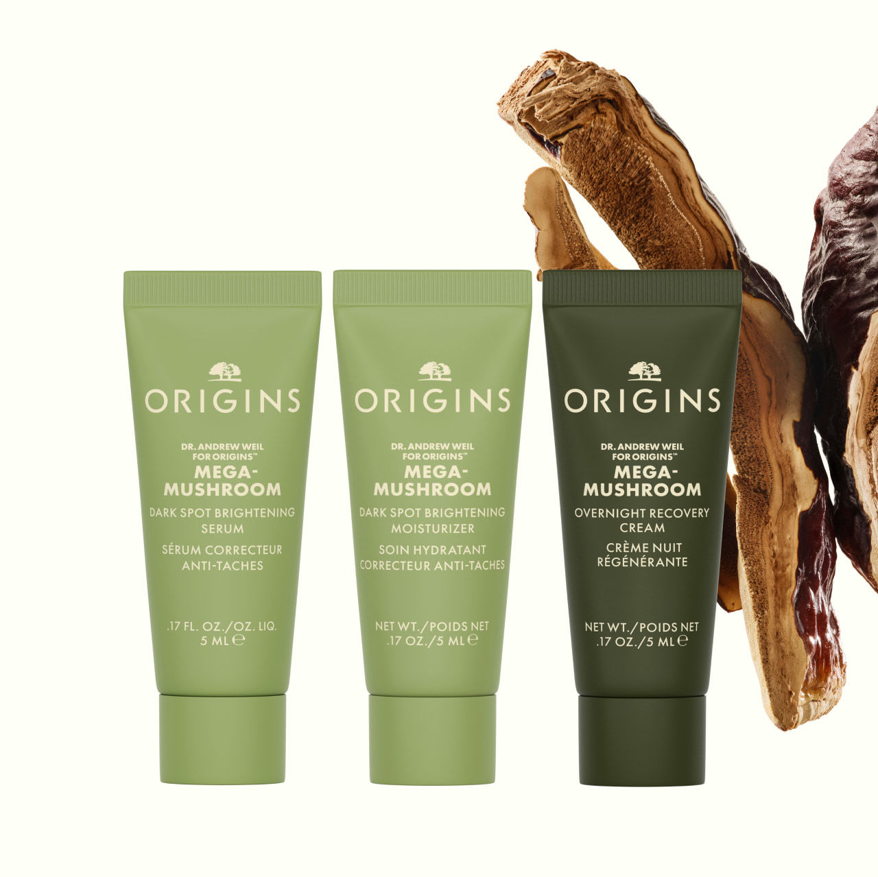 Three Origins Mega-Mushroom minis — Dark Spot Brightening Serum, Dark Spot Brightening Moisturizer and Overnight Recovery Cream — beside a dried reishi mushroom