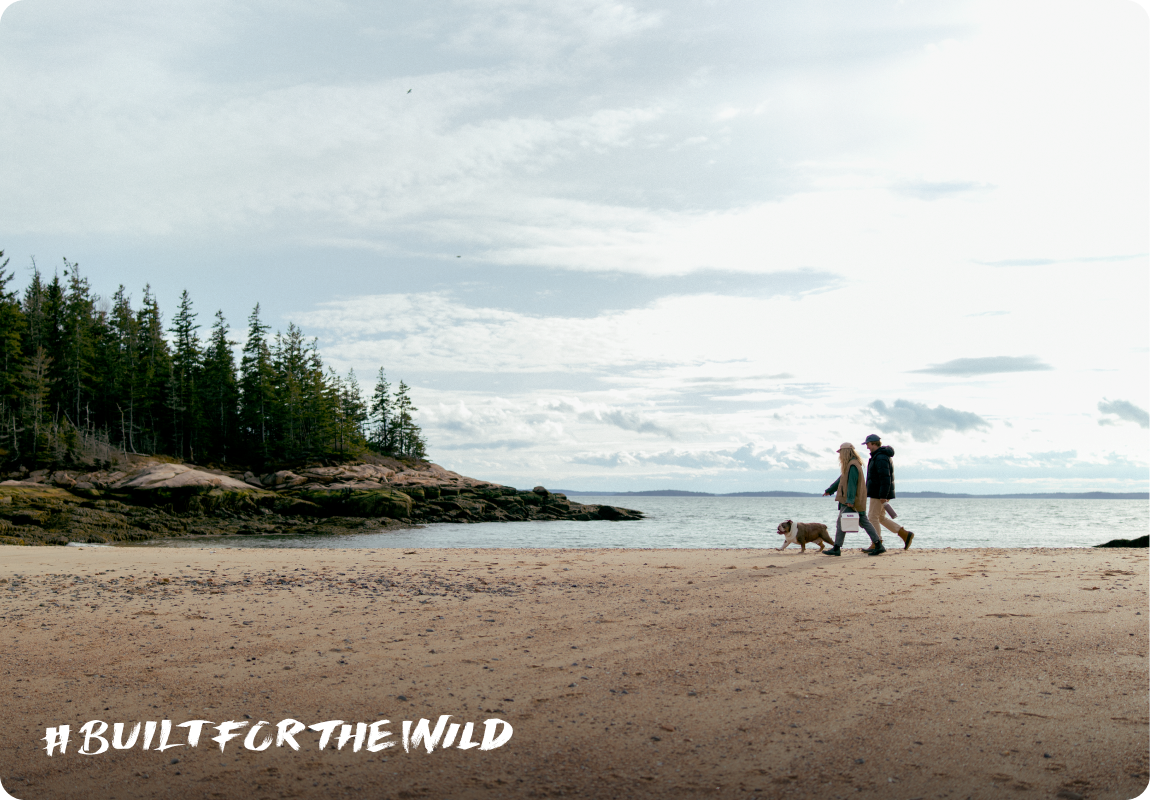 Built For The Wild