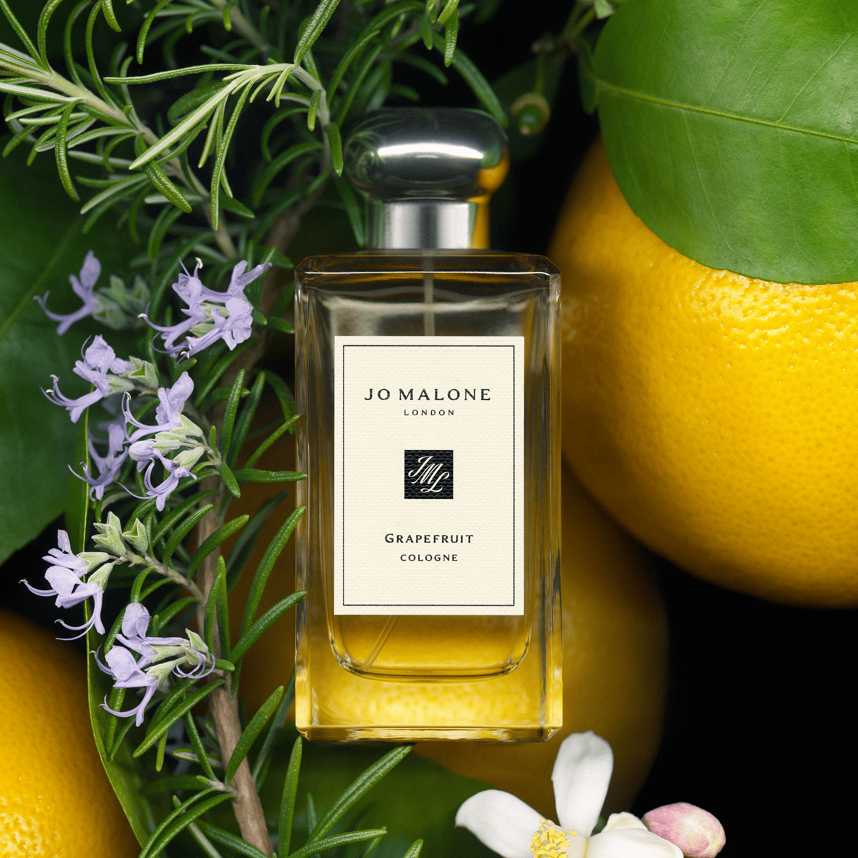 JO MALONE LONDON | Sea Salt-Fresh JO MALONE LONDON | Grapefruit Cologne