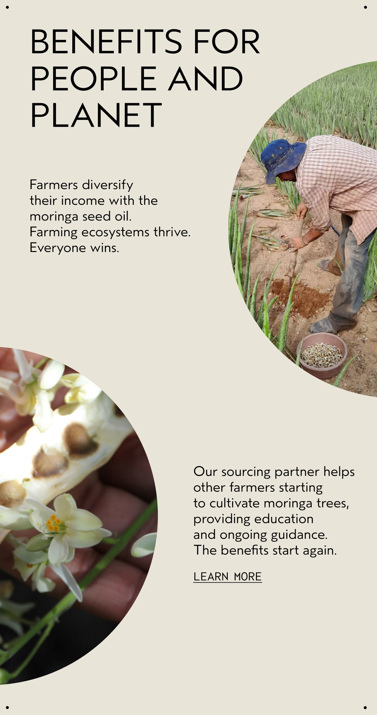 BENEFITS FOR PEOPLE AND PLANET | Farmers diversify their income with the moringa seed oil. Farming ecosystems thrive. Everyone wins. | Our sourcing partner helps other farmers starting to cultivate moringa trees, providing education and ongoing guidance. The benefits start again. | LEARN MORE