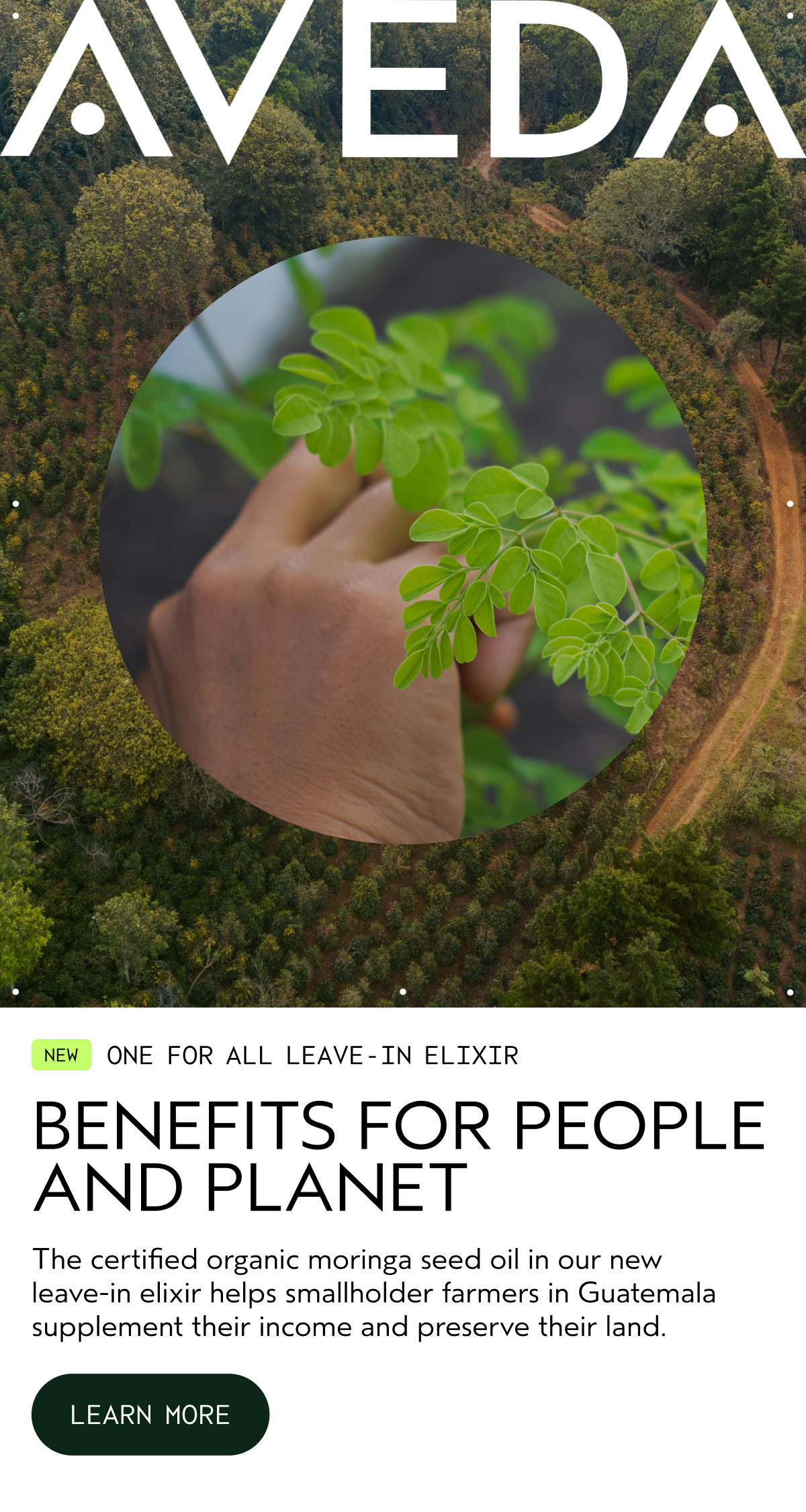 AVEDA | NEW ONE FOR ALL LEAVE-IN ELIXIR | BENEFITS FOR PEOPLE AND PLANET | The certified organic moringa seed oil in our new leave-in elixir helps smallholder farmers in Guatemala supplement their income and preserve their land. | LEARN MORE