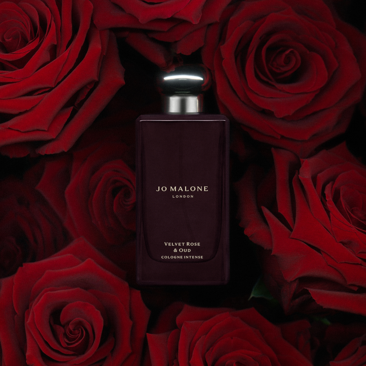 JO MALONE LONDON | VELVET ROSE & OUD COLOGNE INTENSE