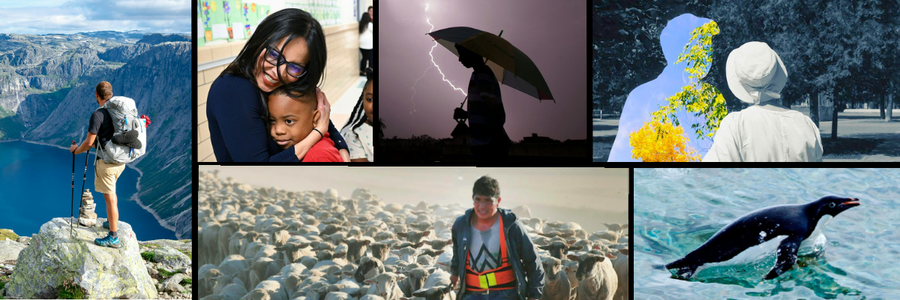 Photo collage featuring a hiker overlooking mountains, a mother embracing a child, a person holding an umbrella during a thunderstorm, artistic portraits, a shepherd with sheep, and a penguin swimming.