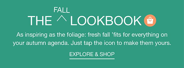 THE FALL LOOKBOOK EXLPORE AND SHOP