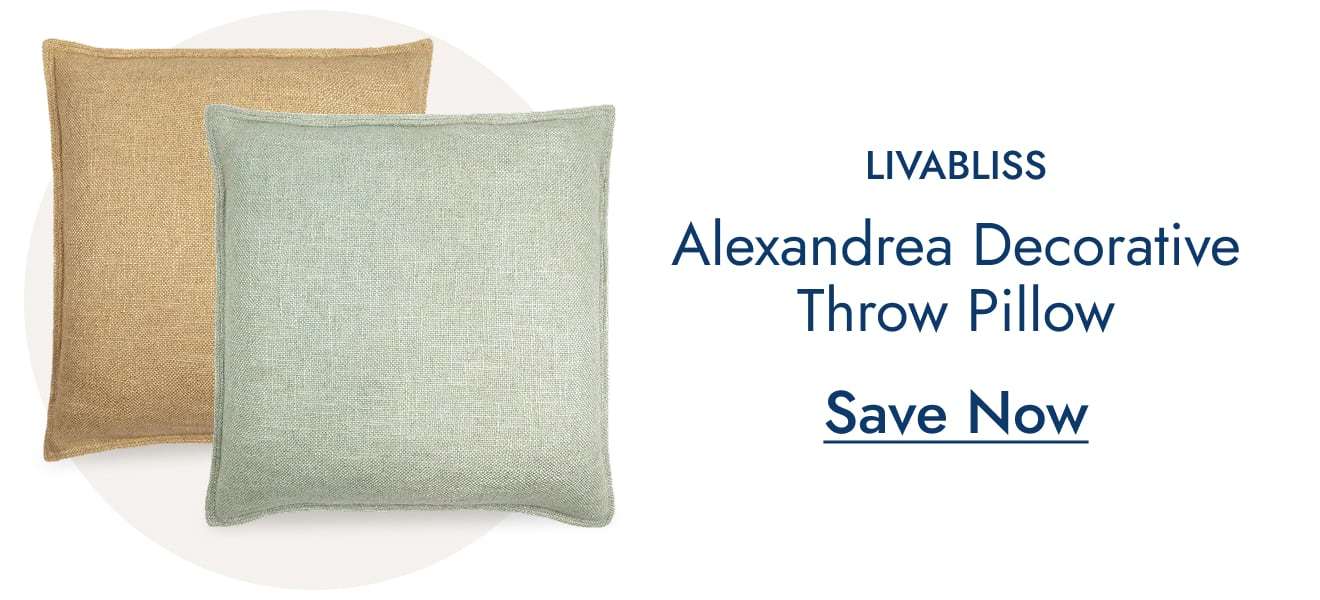 Alexandrea Modern & Contemporary Decorative Throw Pillow