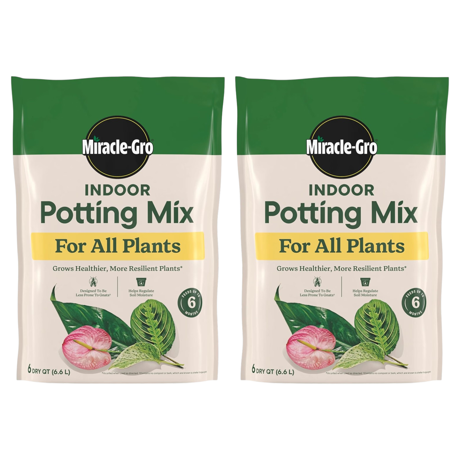 Miracle-Gro 6-Quart Indoor Potting Mix, 2-Pack