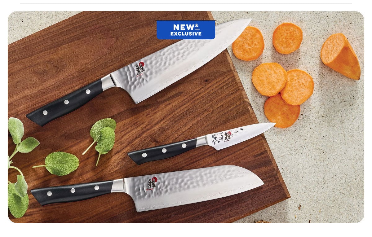 Serious Knives for Serious Cooks