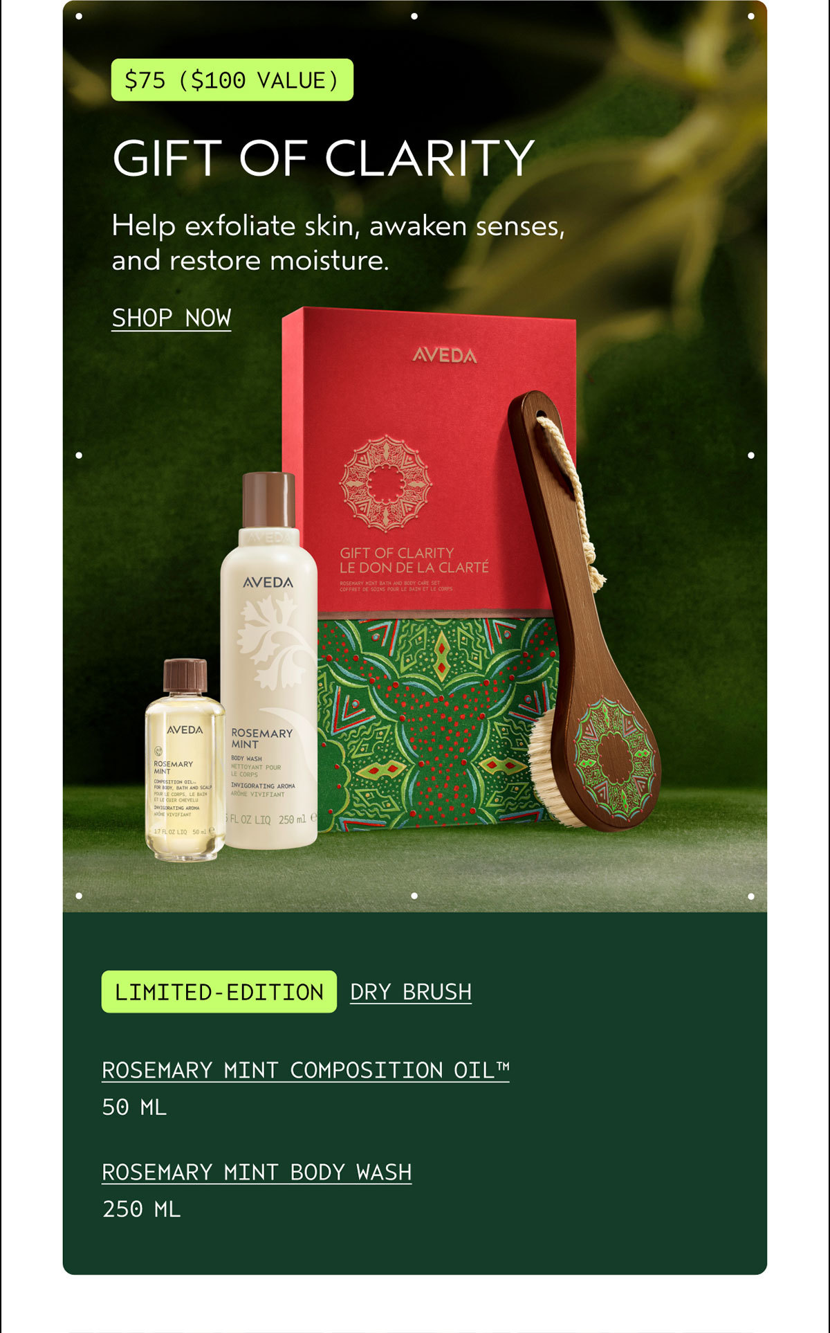 $75 ($100 VALUE) | GIFT OF CLARITY | Help exfoliate skin, awaken senses, and restore moisture. | SHOP NOW | LIMITED-EDITION | DRY BRUSH | ROSEMARY MINT COMPOSITION OIL™ | 50 ML | ROSEMARY MINT BODY WASH | 250 ML