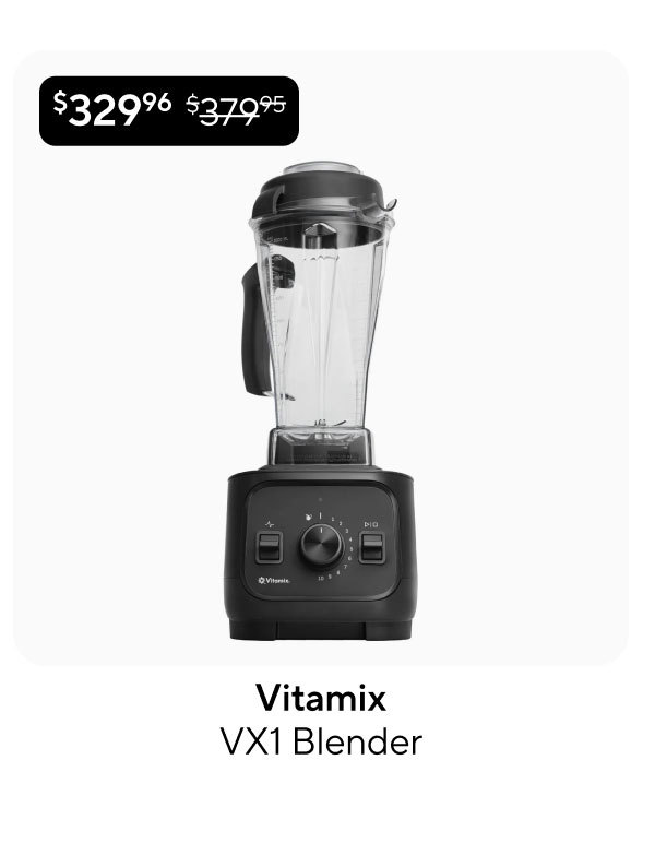 Vitamix VX1 Blender