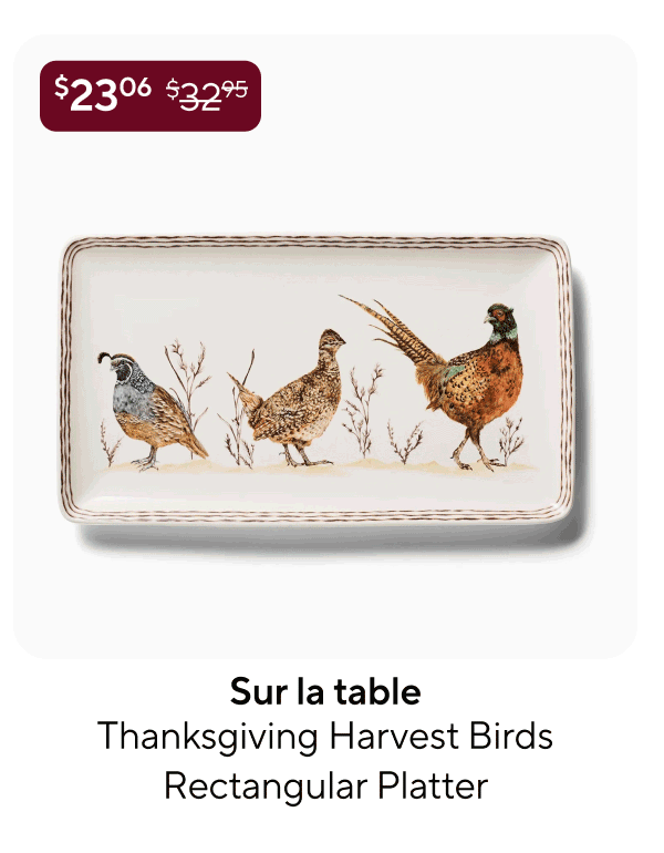 Sur la table Thanksgiving Harvest Birds Rectangular Platter