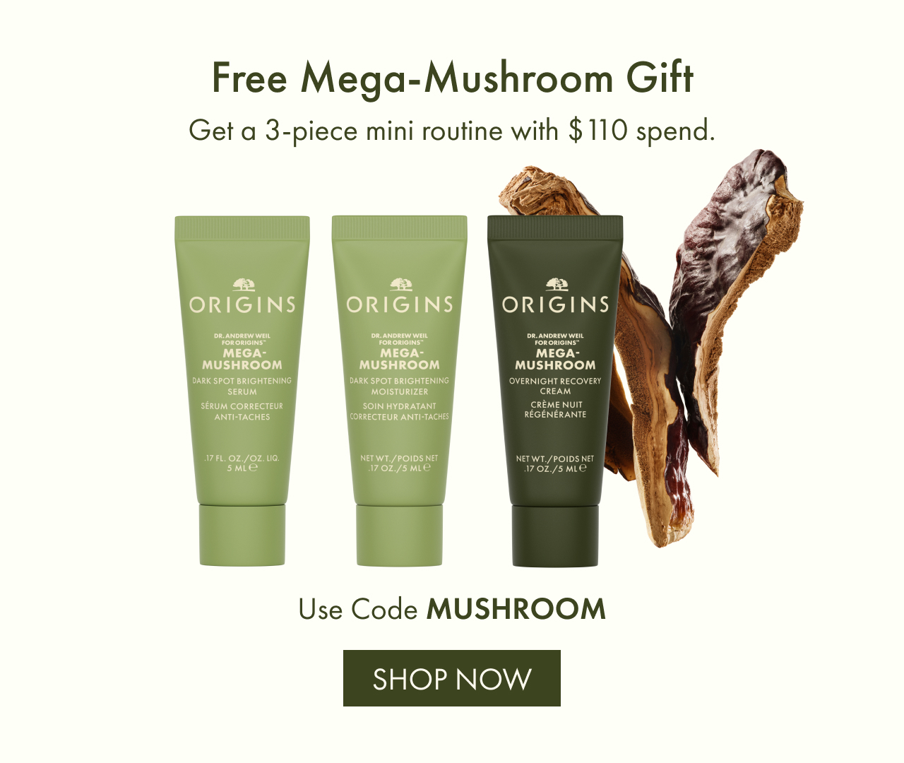 Free Mega-Mushroom Gift | Get a 3-piece mini routine with $110 spend. | SHOP NOW