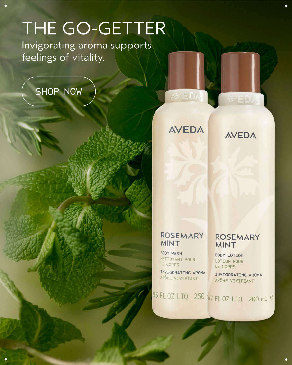 THE GO-GETTER | Invigorating aroma supports feelings of vitality. | SHOP NOW