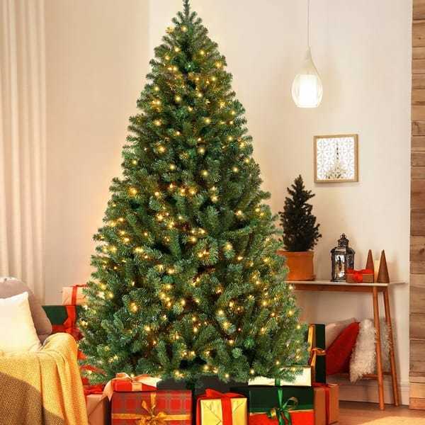 Up to 50% Off Christmas Trees