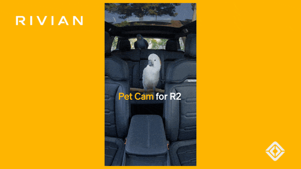 Rivian GIF of a group of animals in the back of a car 