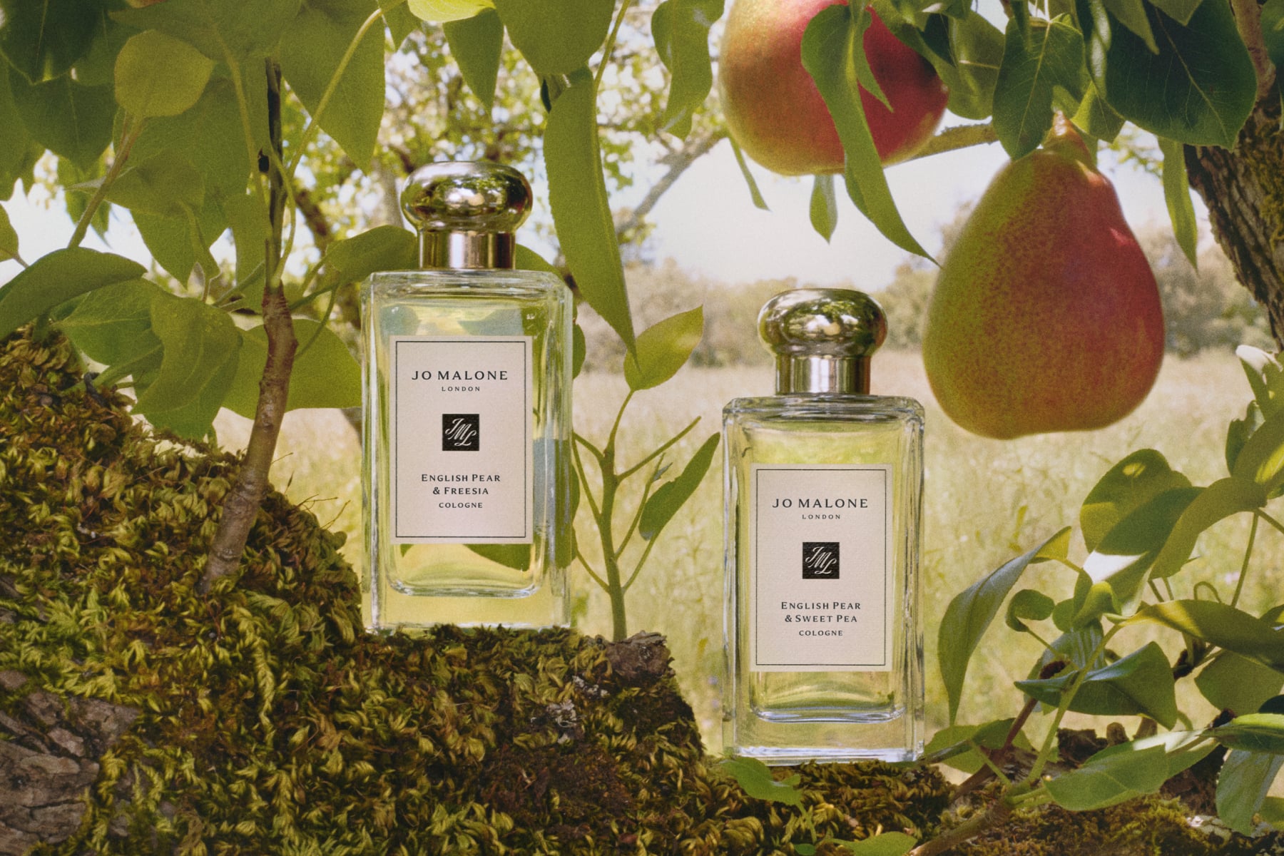JO MALONE LONDON | ENGLISH PEAR & FREESIA COLOGNE | JO MALONE LONDON | ENGLISH PEAR & SWEET PEA COLOGNE JO MALONE LONDON | ENGLISH PEAR & FREESIA COLOGNE | JO MALONE LONDON | ENGLISH PEAR & SWEET PEA COLOGNE