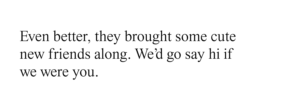 We'd go say hi if we were you