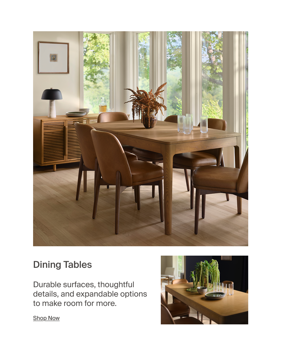 Dining Chairs