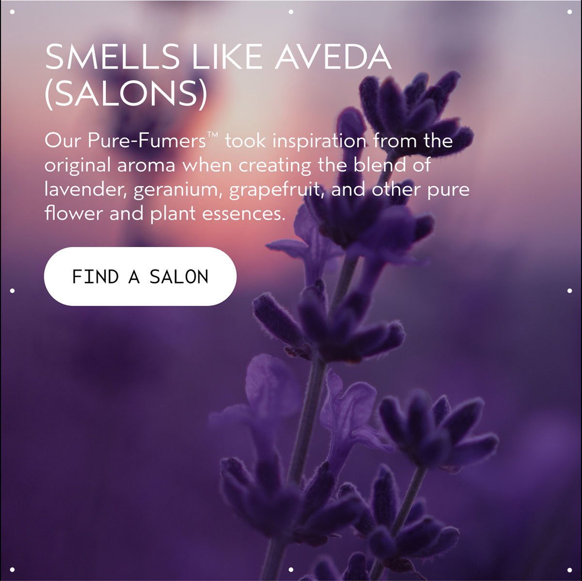 SMELLS LIKE AVEDA (SALONS) | Our Pure-Fumers™ took inspiration from the original aroma when creating the blend of lavender, geranium, grapefruit, and other pure flower and plant essences. | FIND A SALON
