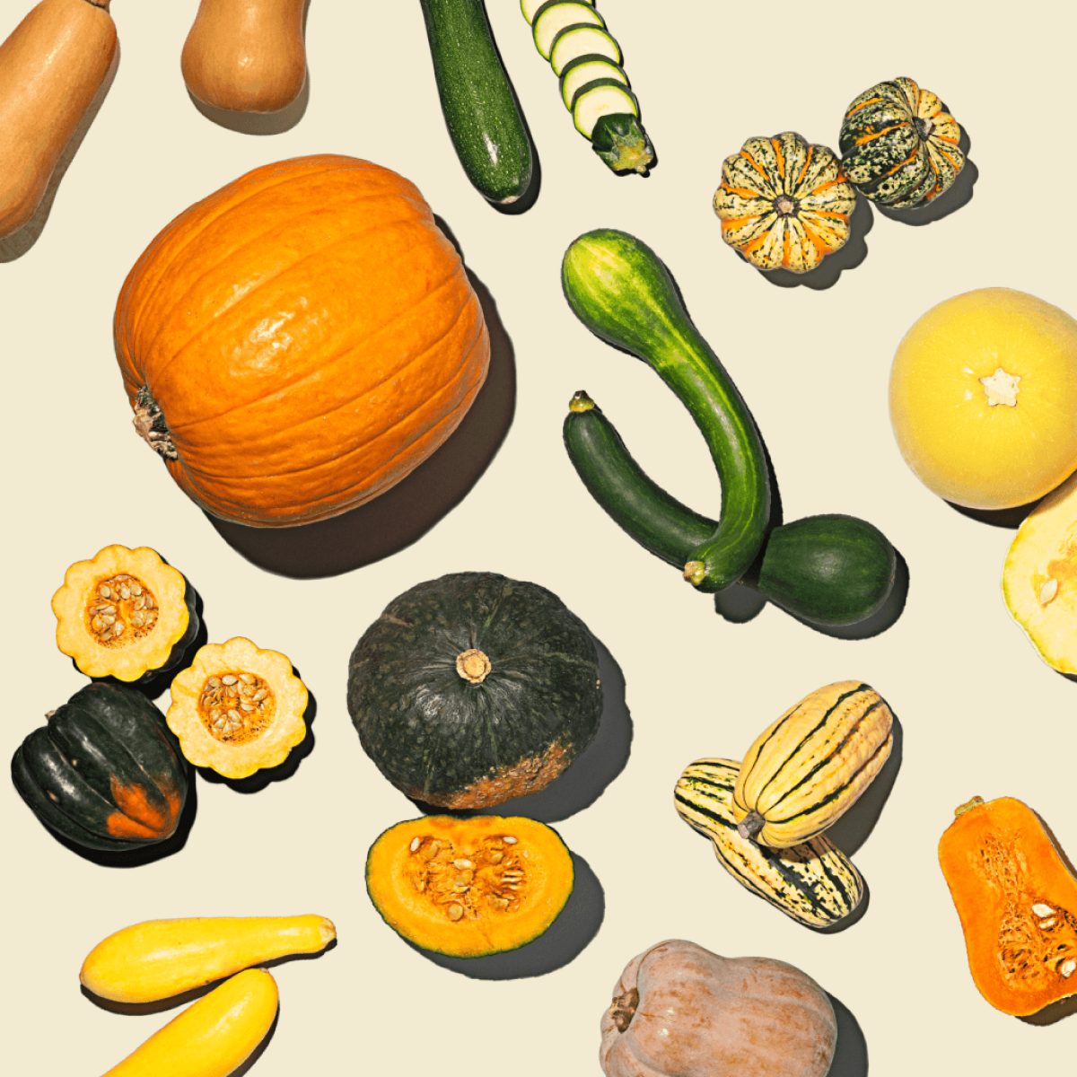 Winter squash!