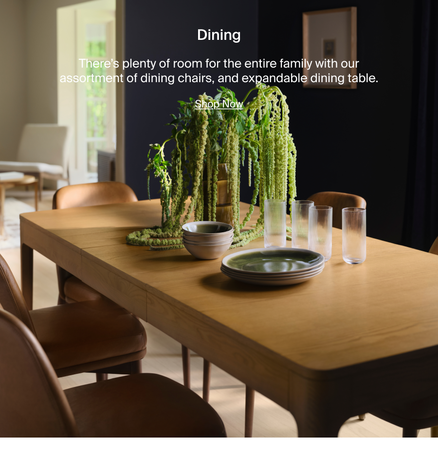 Dining. There's plenty of room for the entire family with our assortment of dining chairs and expandable dining table. Shop Now
