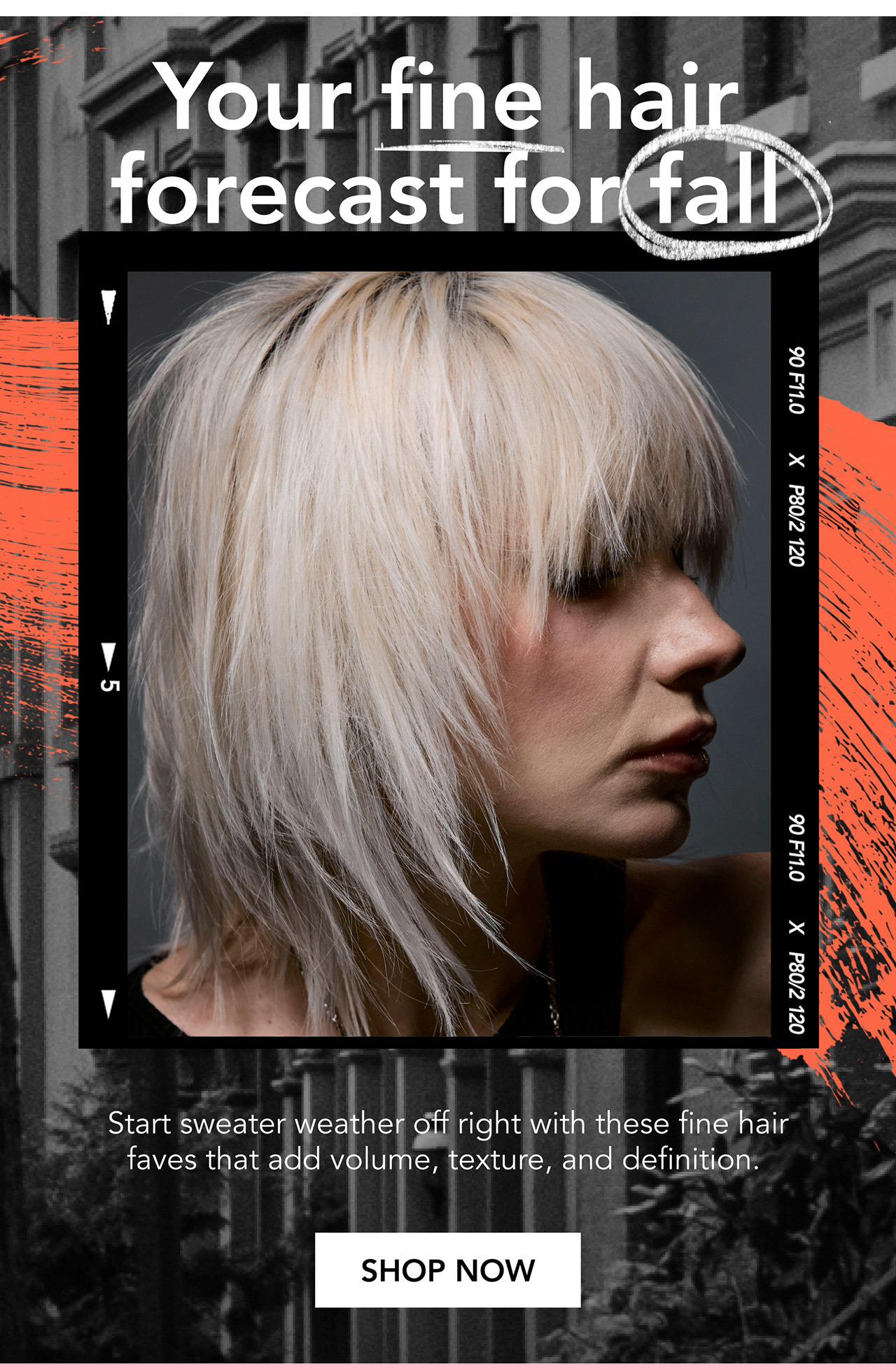 Your fine hair forecast for fall | Start sweater weather off right with these fine hair faves that add volume, texture, and definition. | SHOP NOW