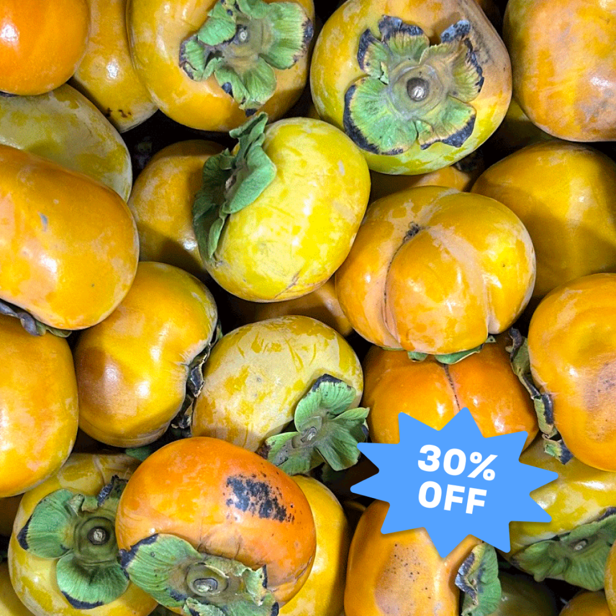 Sunburned Persimmons