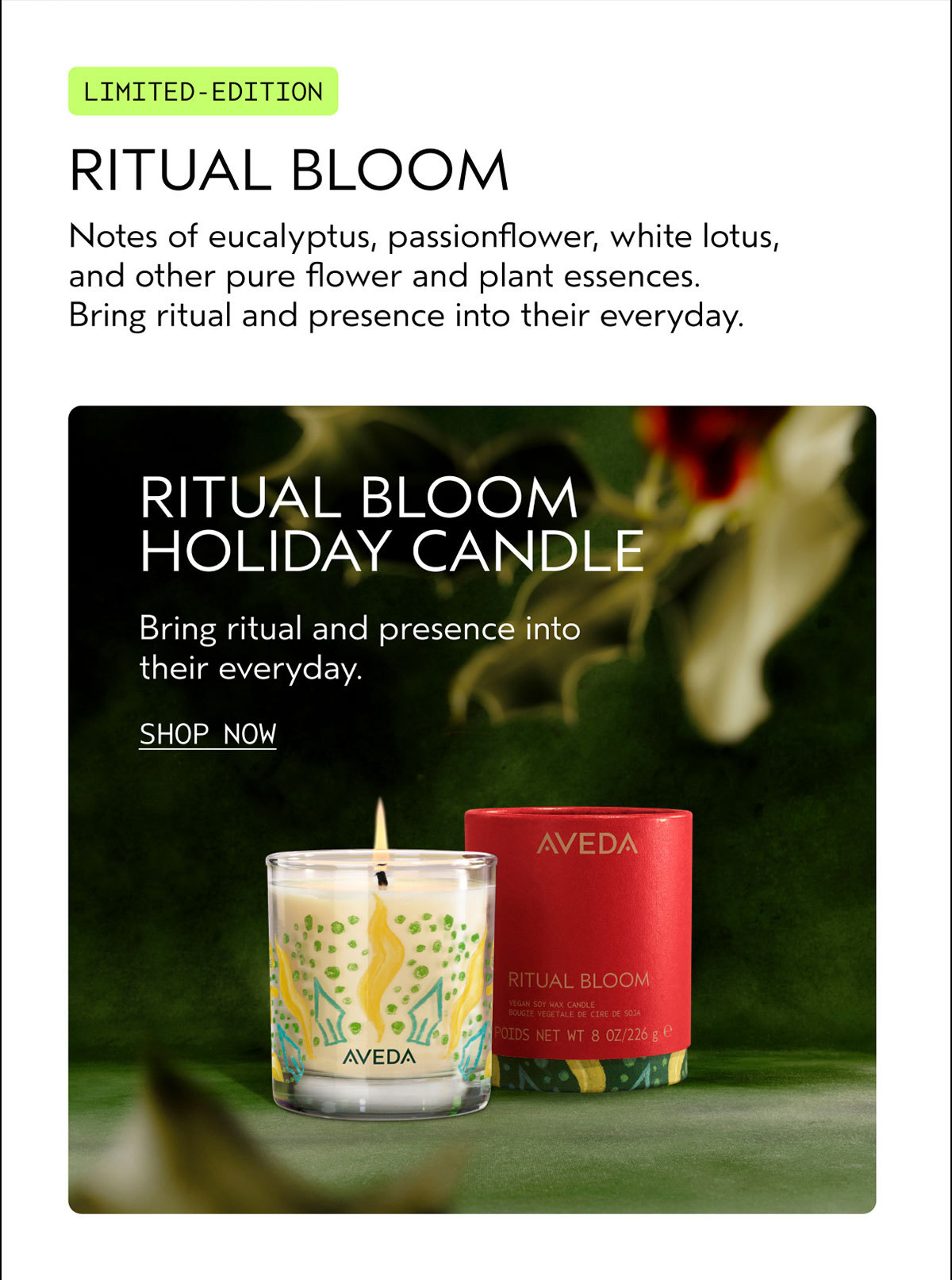 LIMITED-EDITION | RITUAL BLOOM | Notes of eucalyptus, passionflower, white lotus, and other pure flower and plant essences. Bring ritual and presence into their everyday. | RITUAL BLOOM HOLIDAY CANDLE | Bring ritual and presence into their everyday. | SHOP NOW