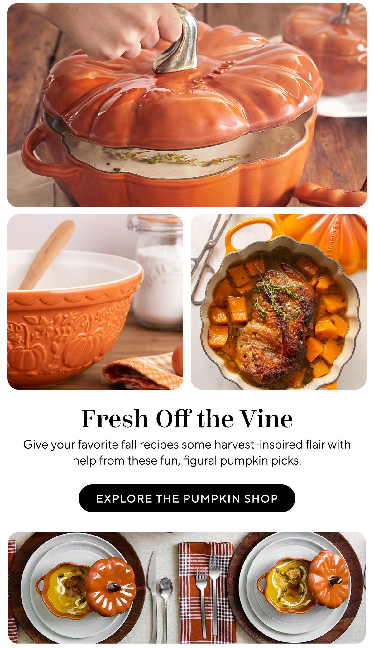 Explore The Pumpkin Shop