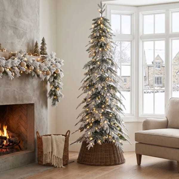Up to 60% Off Christmas Trees & Decor